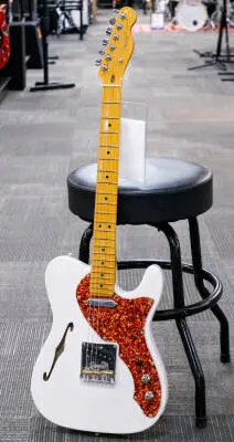 Fender - Limited Edition American Professional II Telecaster Thinline, Maple Fingerboard - White Blonde 2